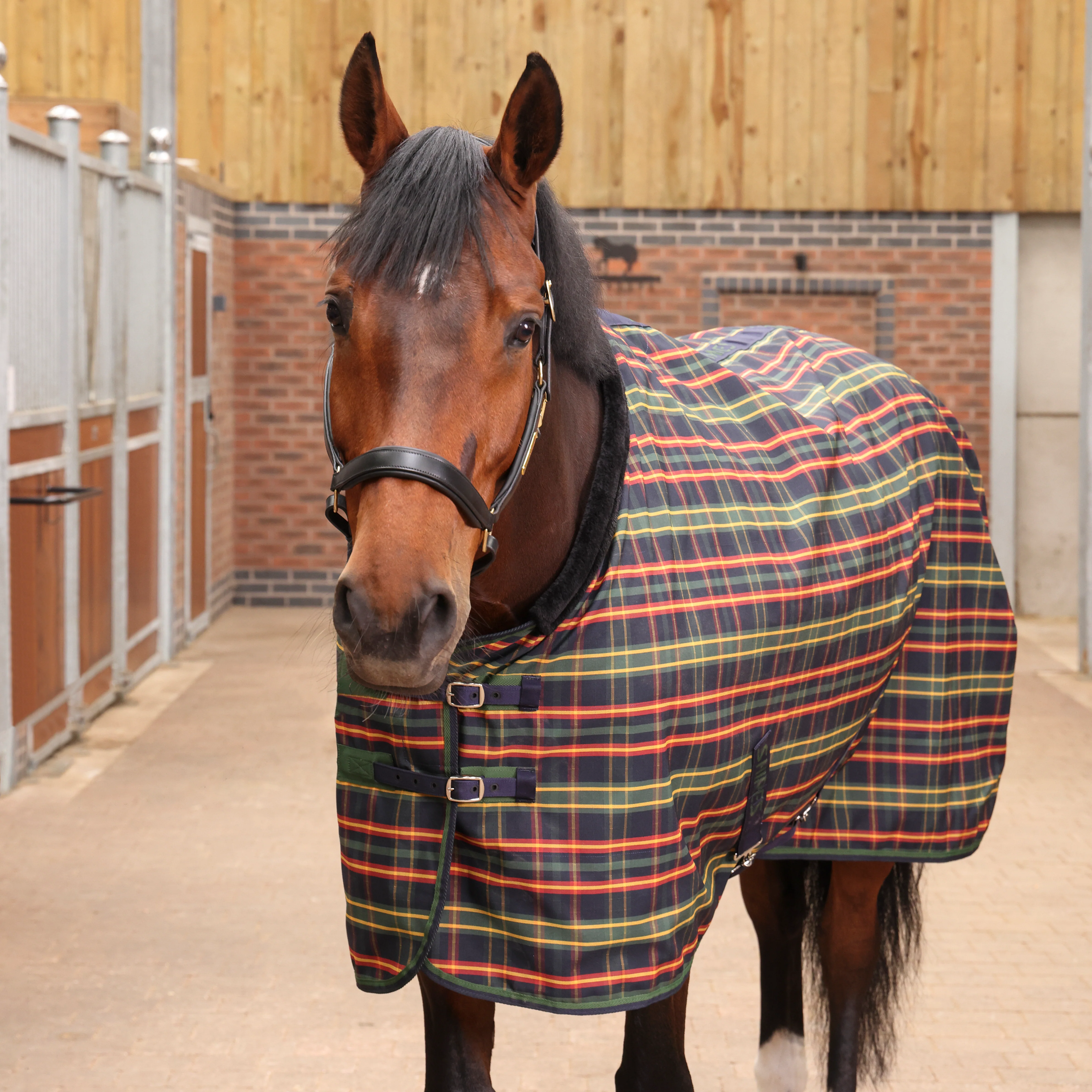 Shires Tempest Plus Lite Stable Rug - Image 3