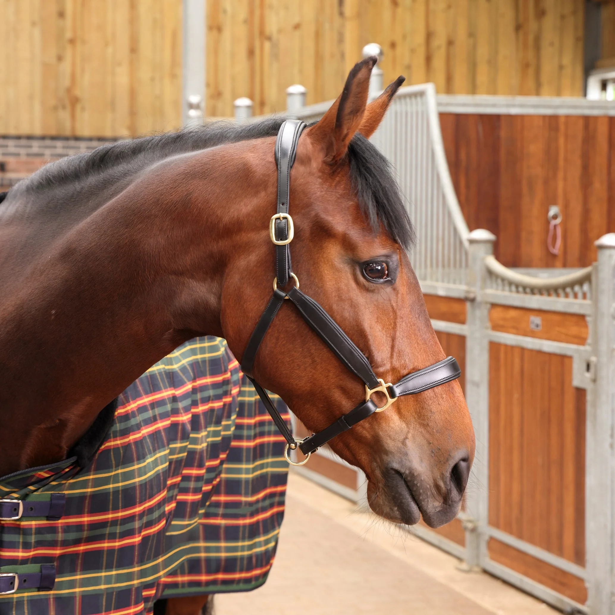 Shires Tempest Plus Lite Stable Rug - Image 4
