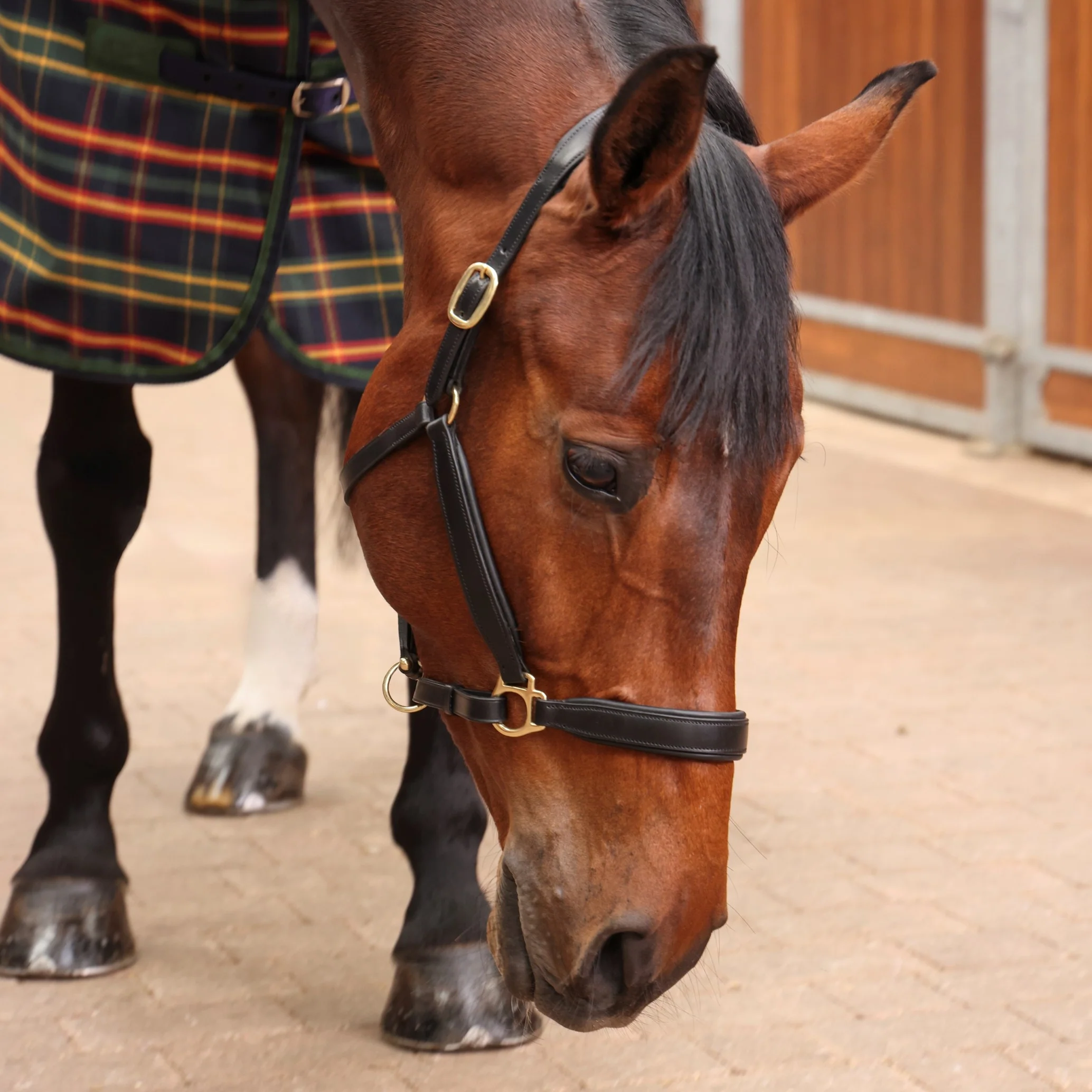 Shires Tempest Plus Lite Stable Rug - Image 5