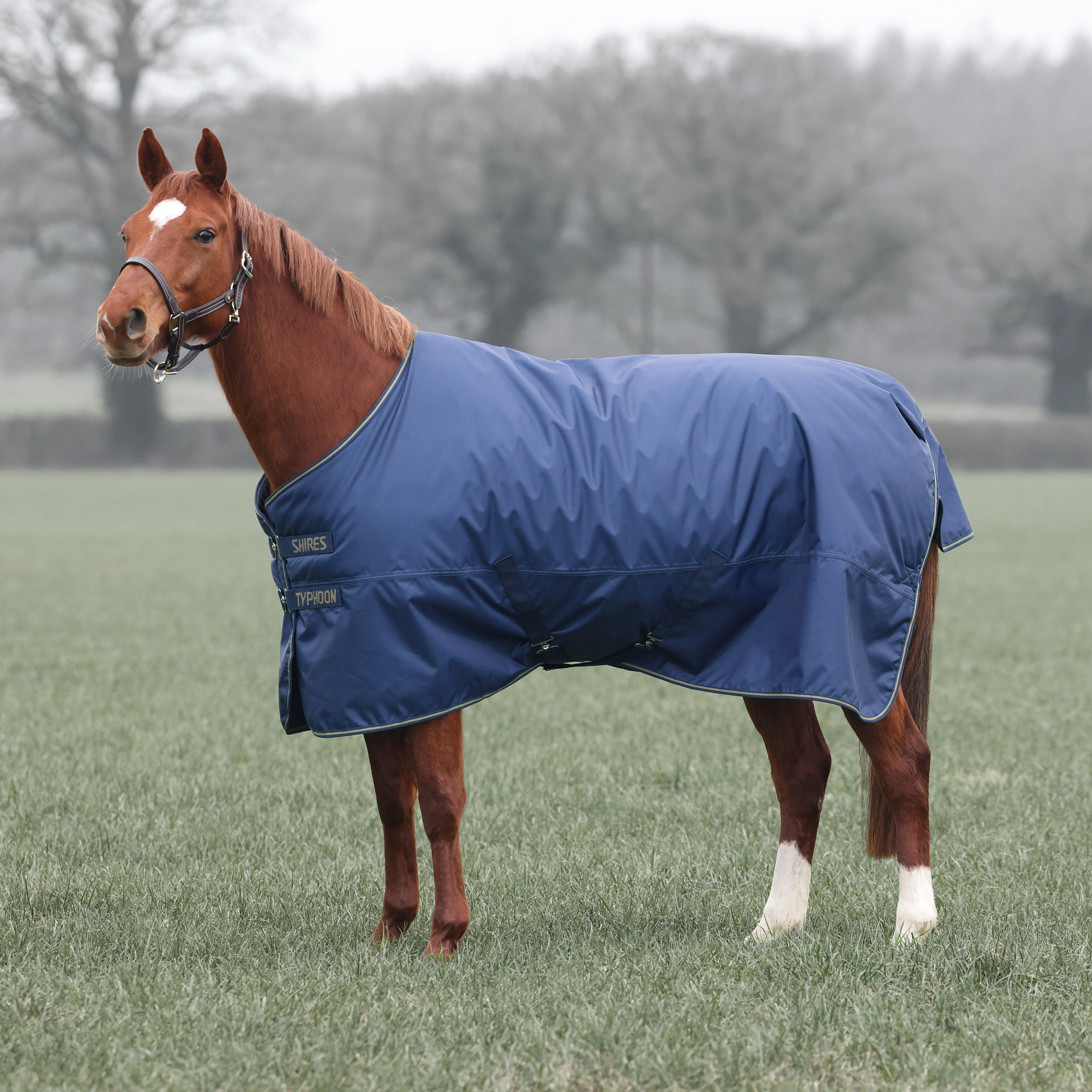 Shires Typhoon Lite Turnout Rug