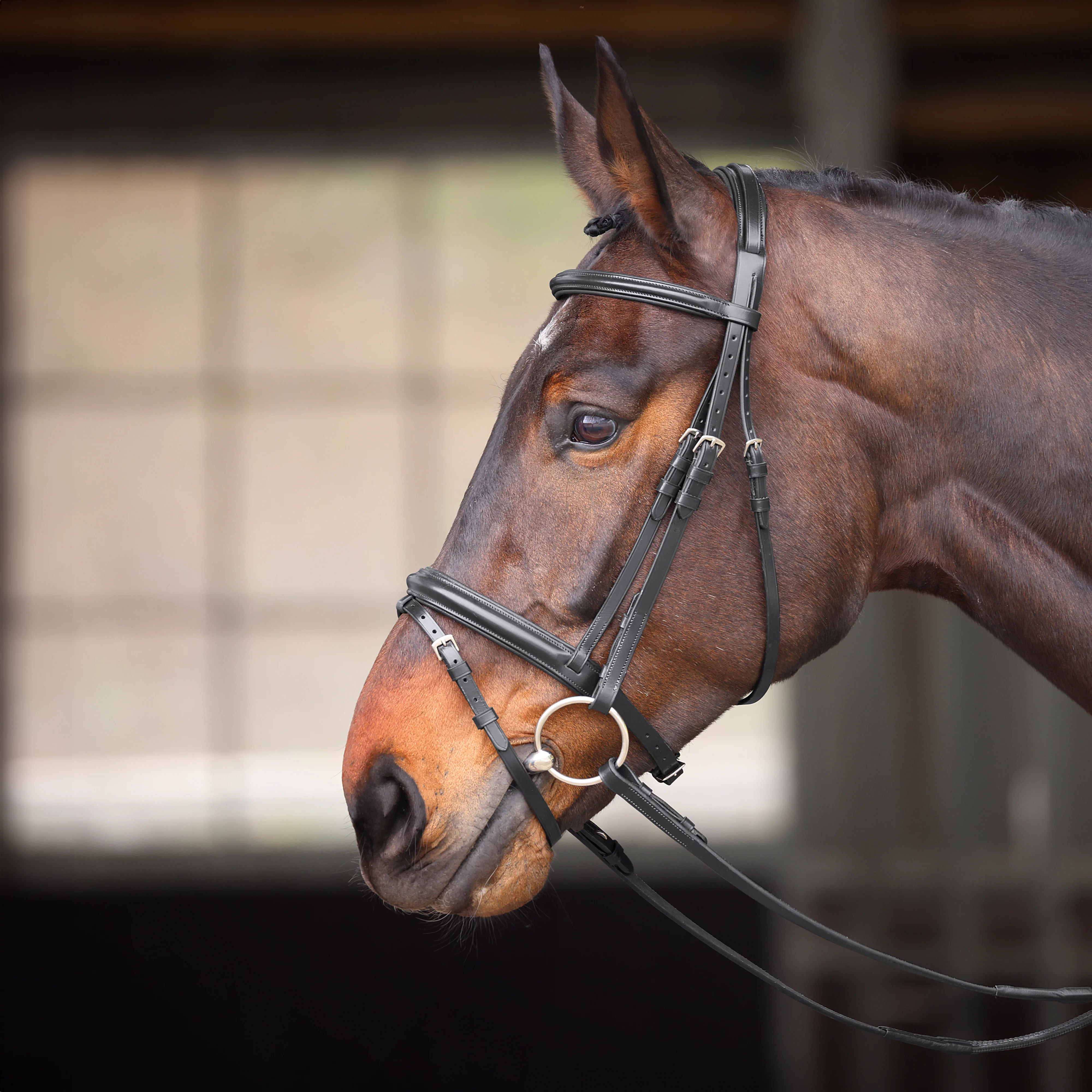 Velociti GARA Comfort Fit Bridle - Image 2