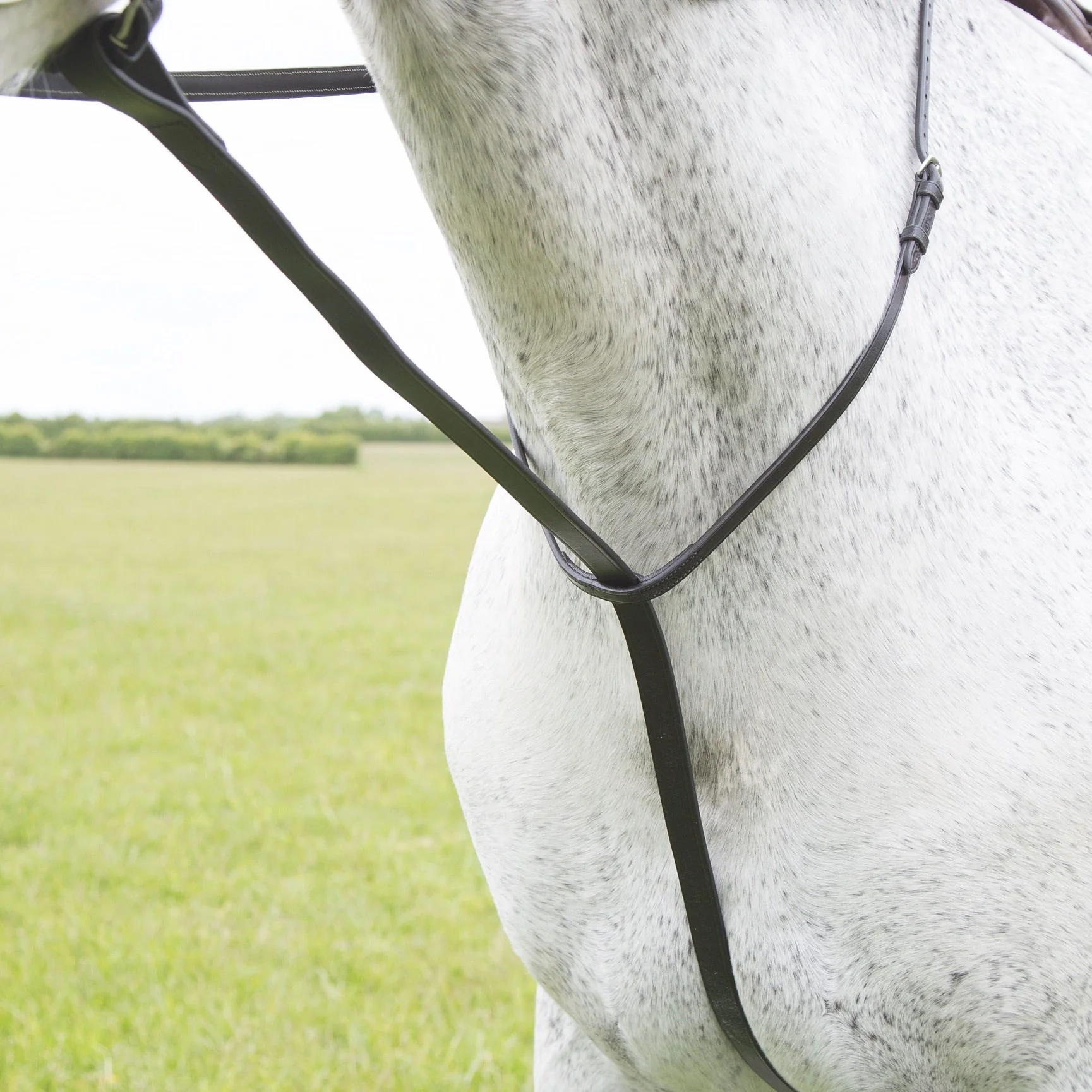 Velociti GARA Standing Martingale