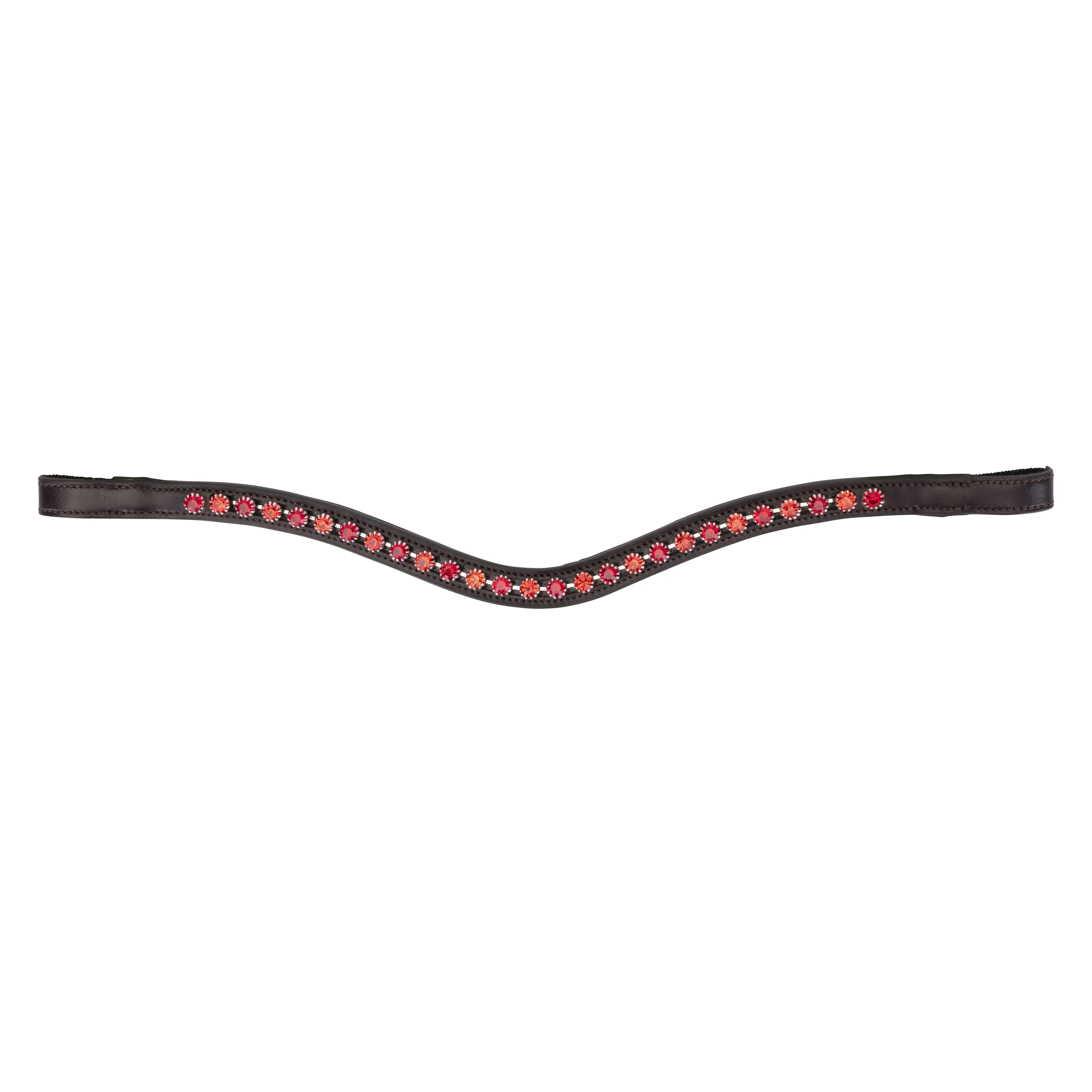 Velociti GARA Two Tone Browband - Image 9