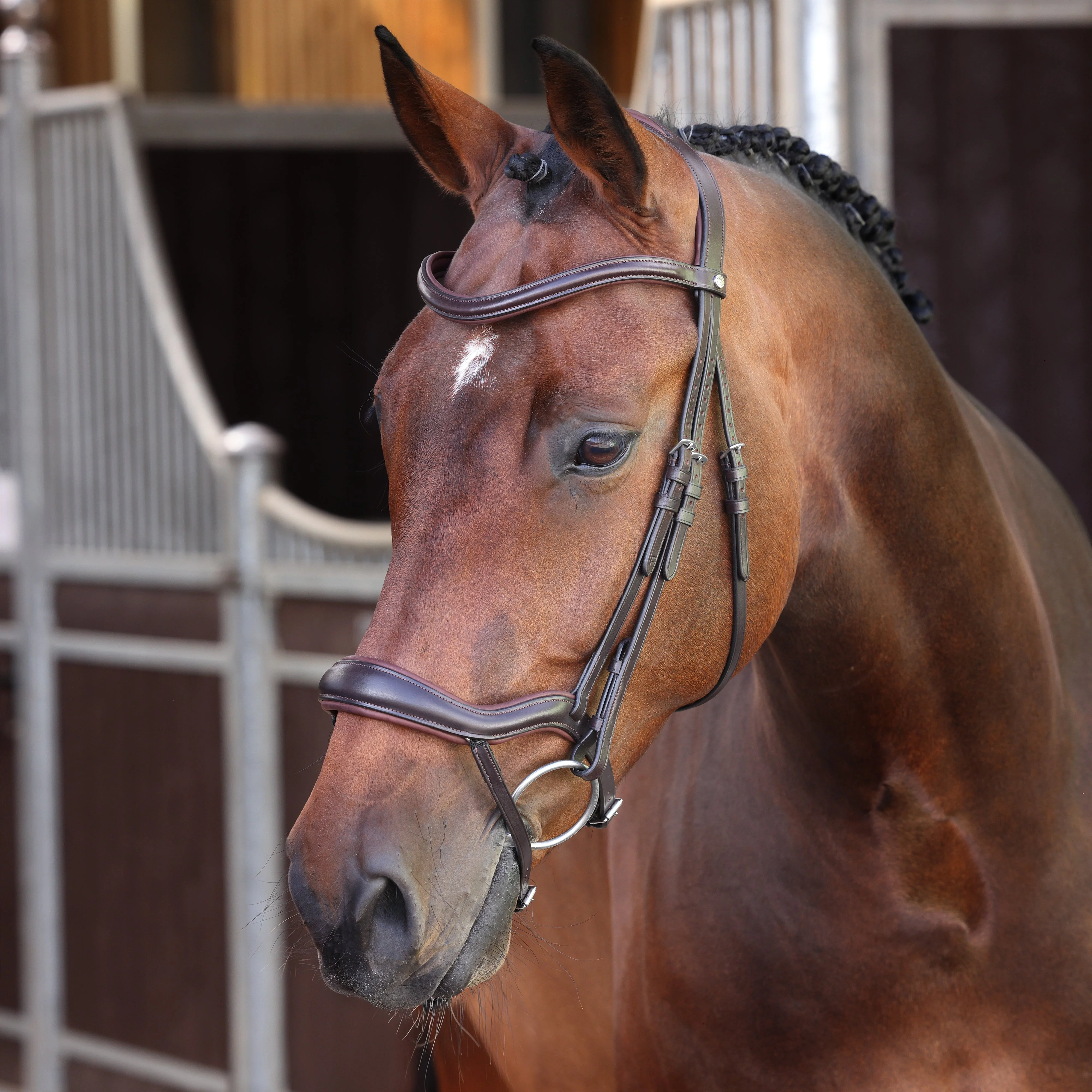 Velociti LUSSO Elite Ergonomic Flash Bridle - Image 2