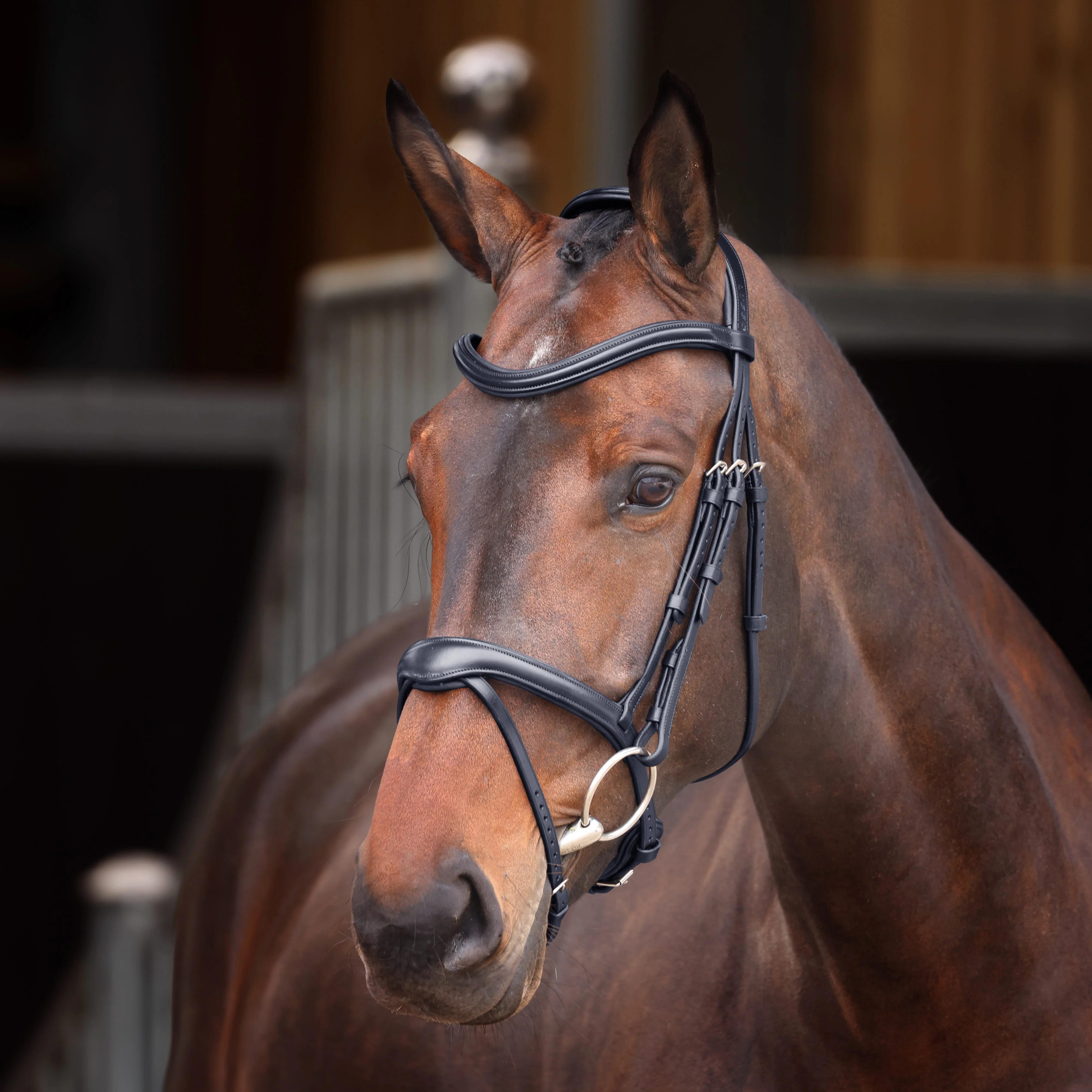 Velociti Lusso Elite Flash Bridle - Image 2