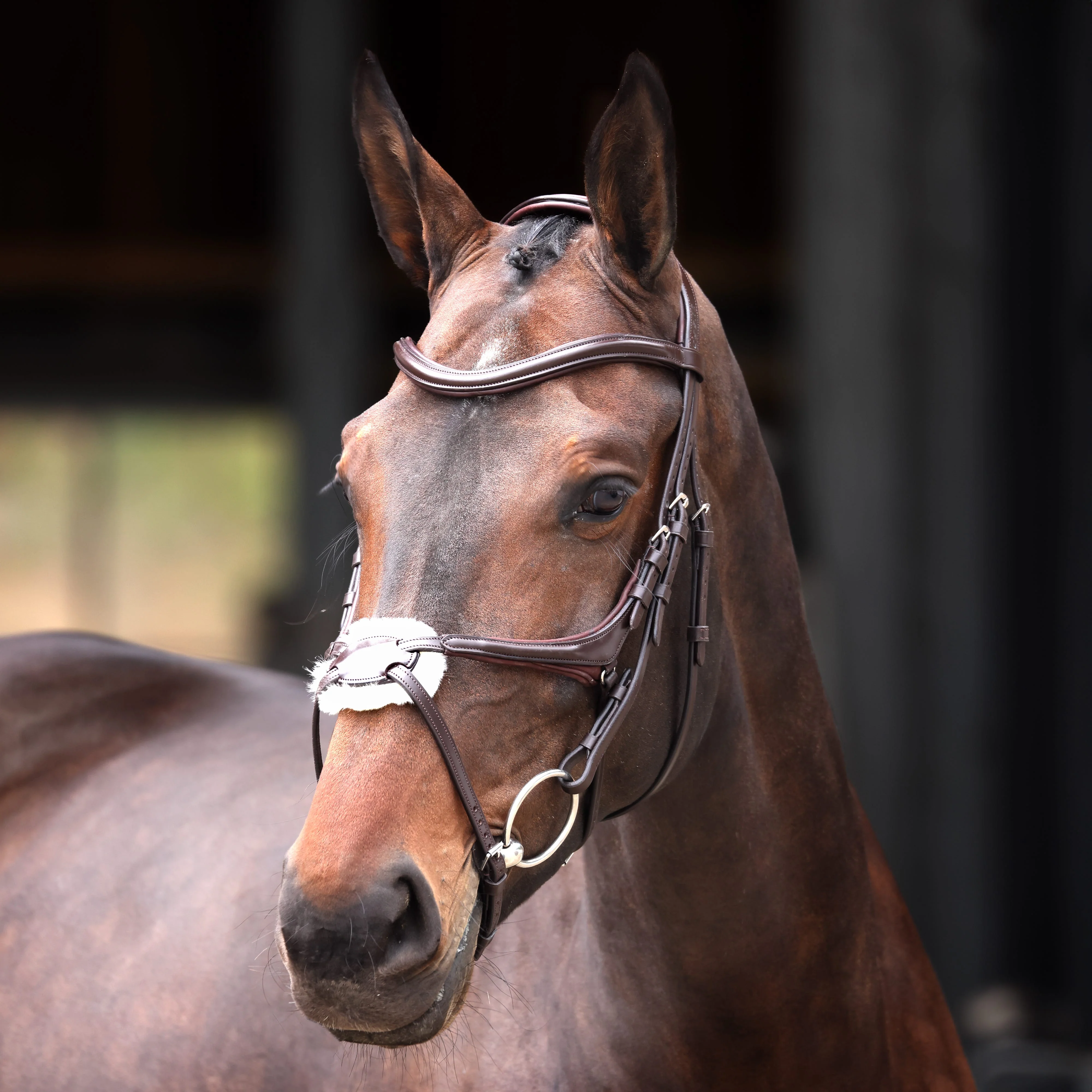 Velociti Lusso Elite Grackle Bridle - Image 3