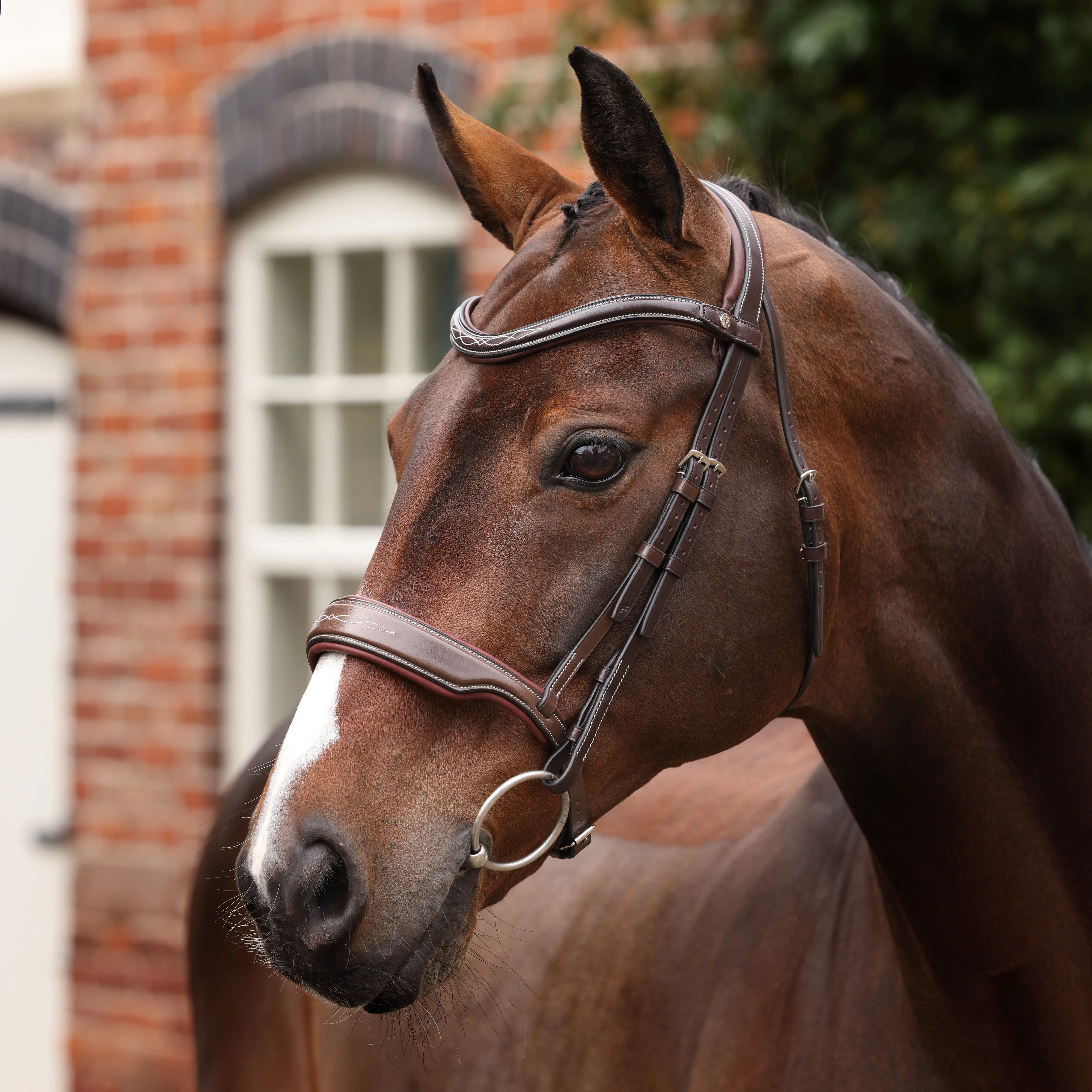 Velociti LUSSO Opus 180M Dressage Cavesson Bridle - Image 2