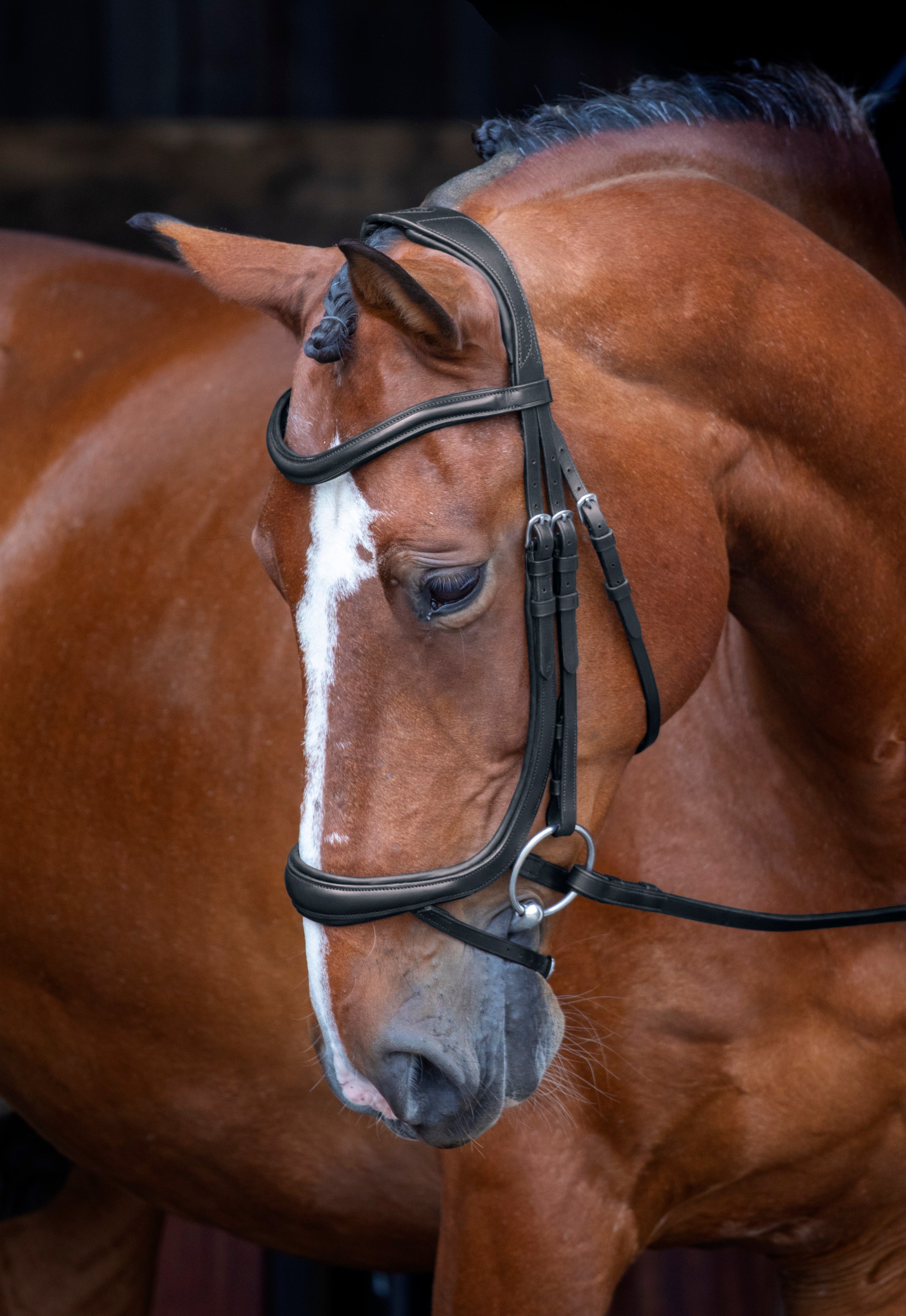Velociti RAPIDA Ergonomic Curved Flash Bridle - Image 2
