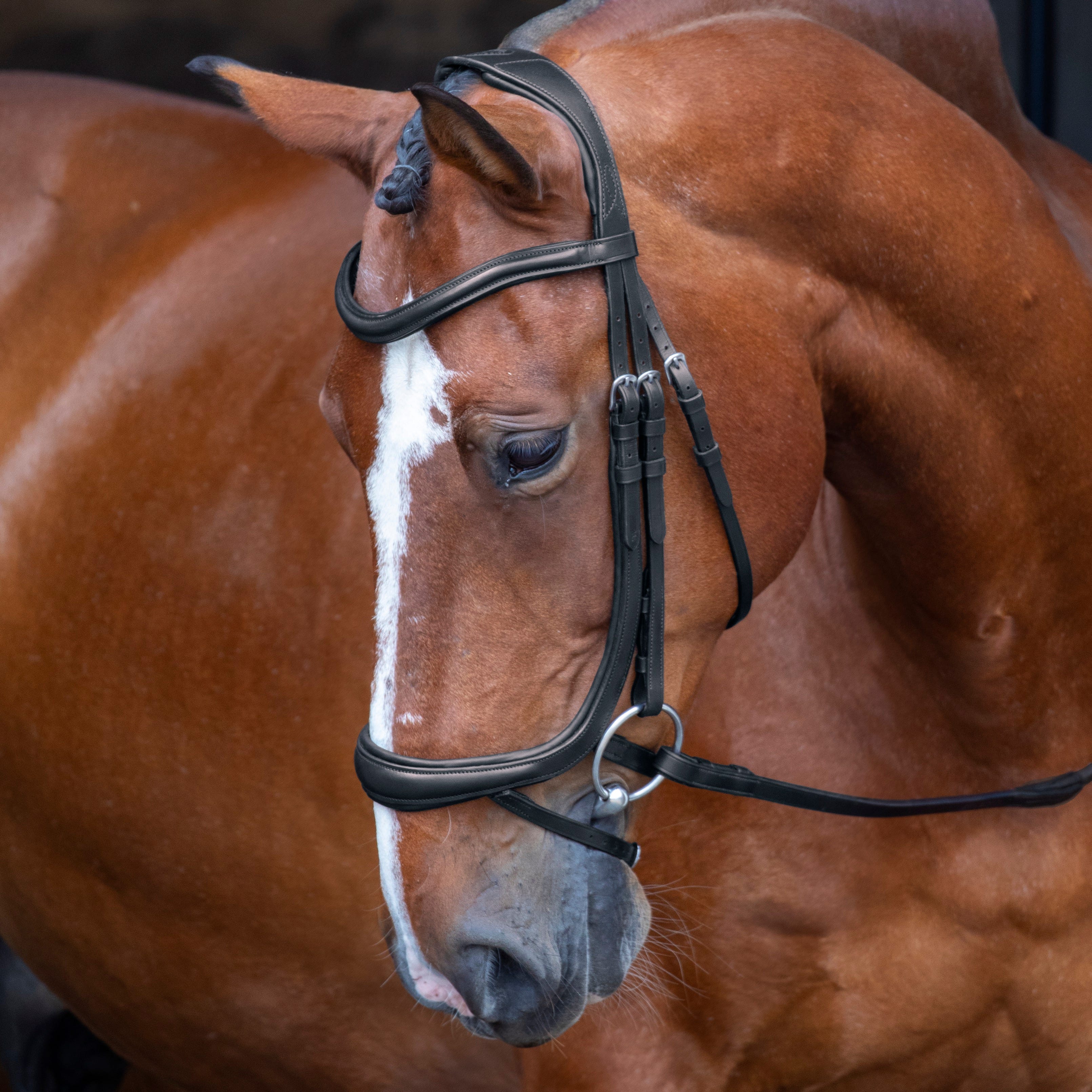 Velociti RAPIDA Ergonomic Curved Flash Bridle - Image 3