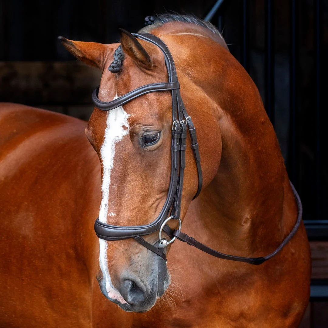 Velociti RAPIDA Ergonomic Curved Flash Bridle - Image 4