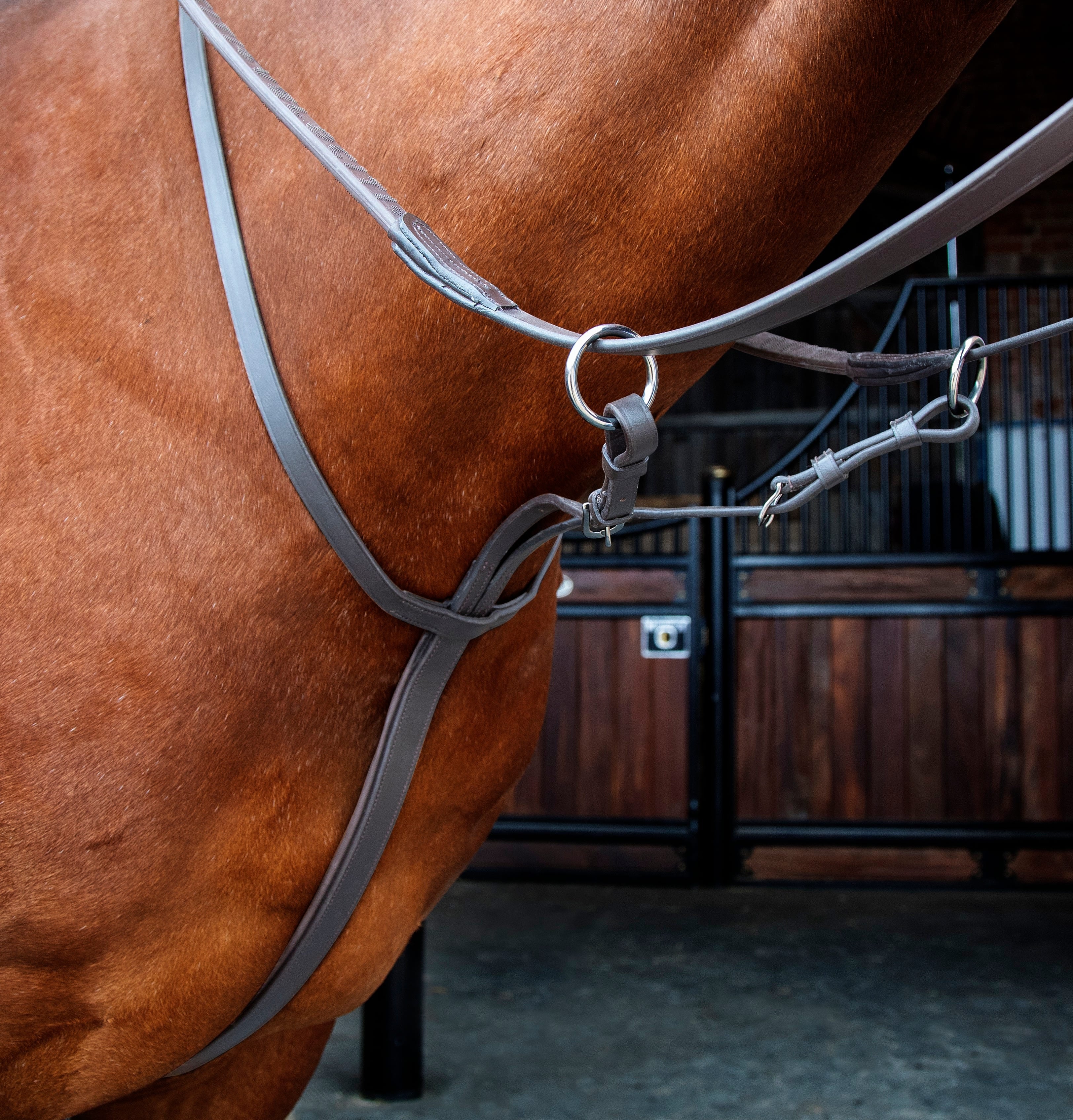 Velociti RAPIDA Running Martingale - Image 4