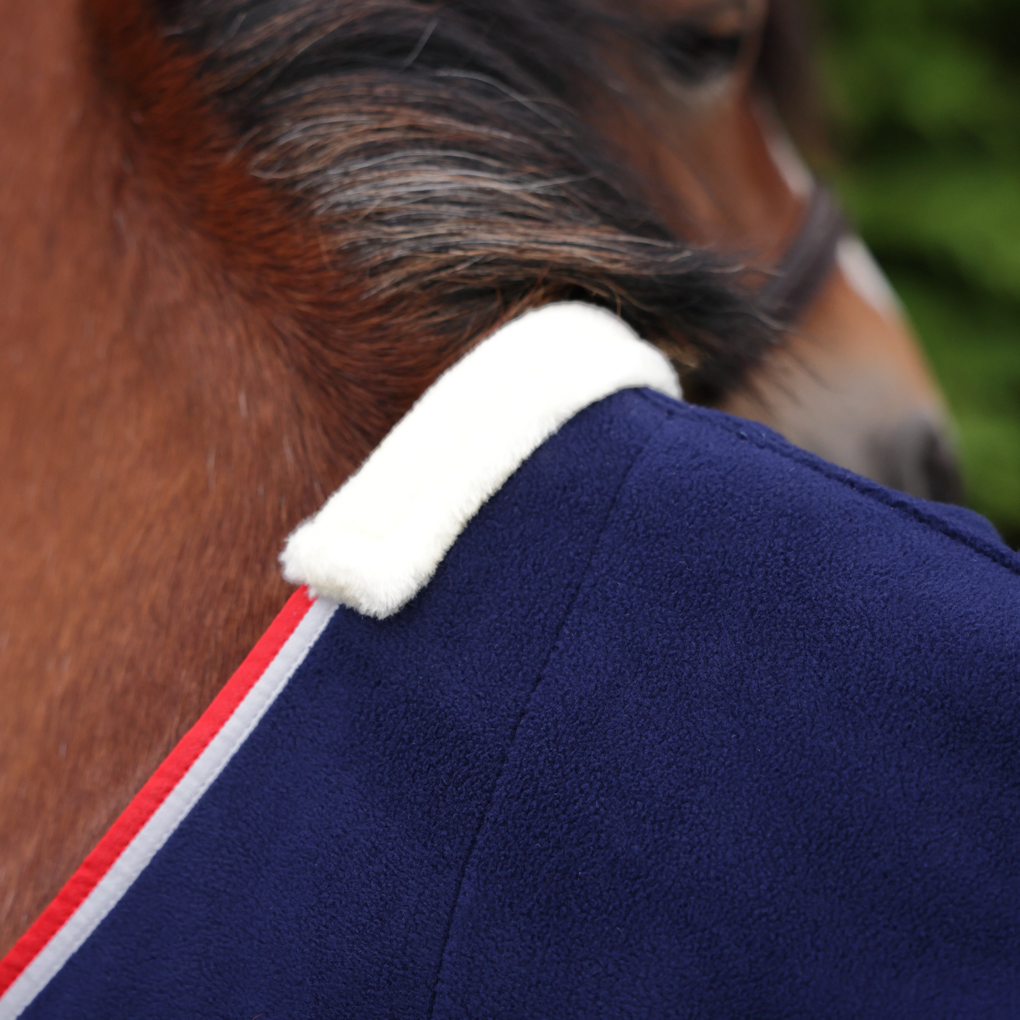 Shires Winnie & Me Fleece Rug - Image 4