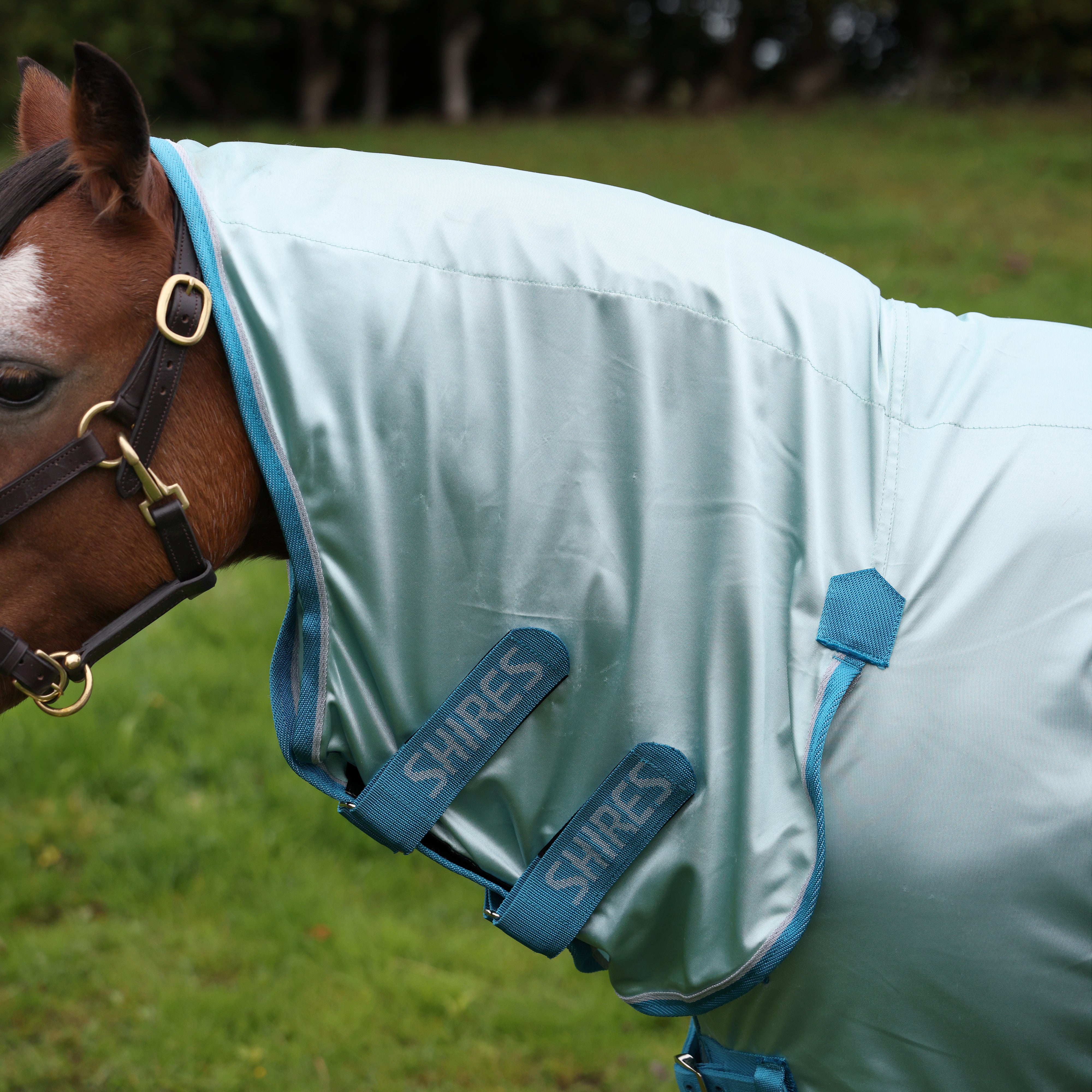 Shires Winnie & Me Fly Combo Rug - Image 2