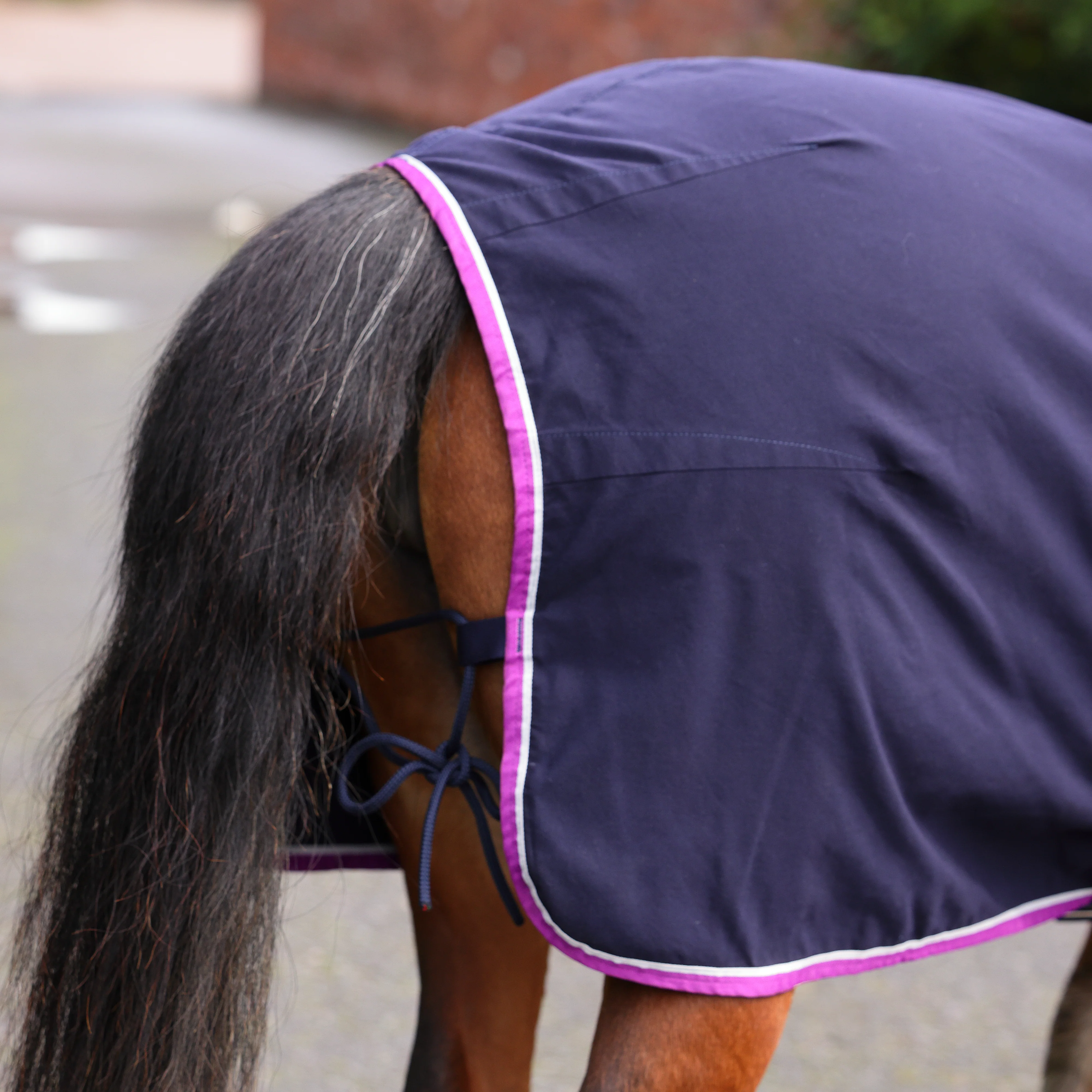 Shires Winnie & Me Stable Sheet - Image 6